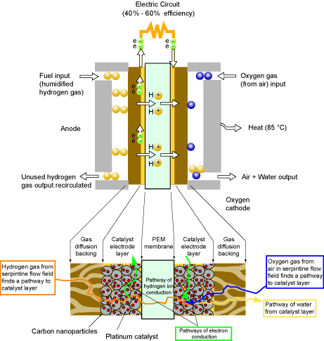 pefc fuel cell