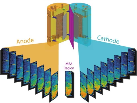 Water profile in the anode, cathode, and MEA region of an operating PEFC obtained via neutron tomography