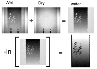 Images showing scattered density of water